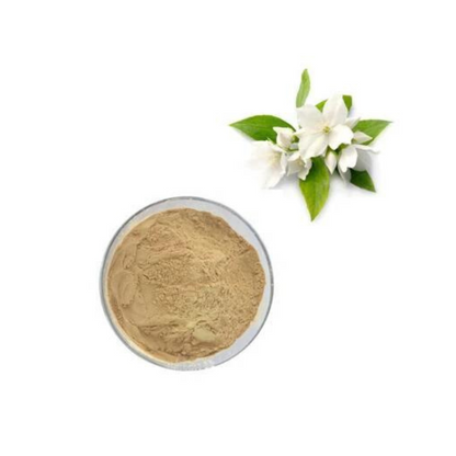 BAVACHI FLOWER POWDER